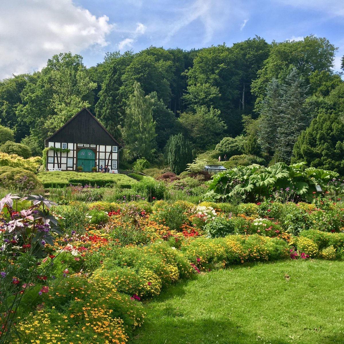 Botanischer Garten (Bielefeld) All You Need to Know BEFORE You Go