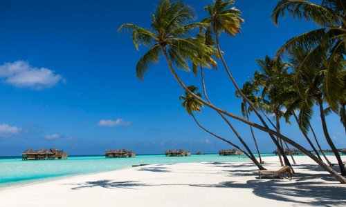 Palm Beach