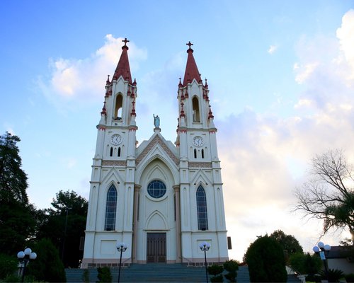 Ponto X - Nova Araçá