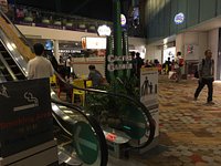 Changi Airport Terminal 1: Outdoor Rooftop Cactus Garden - LEPL