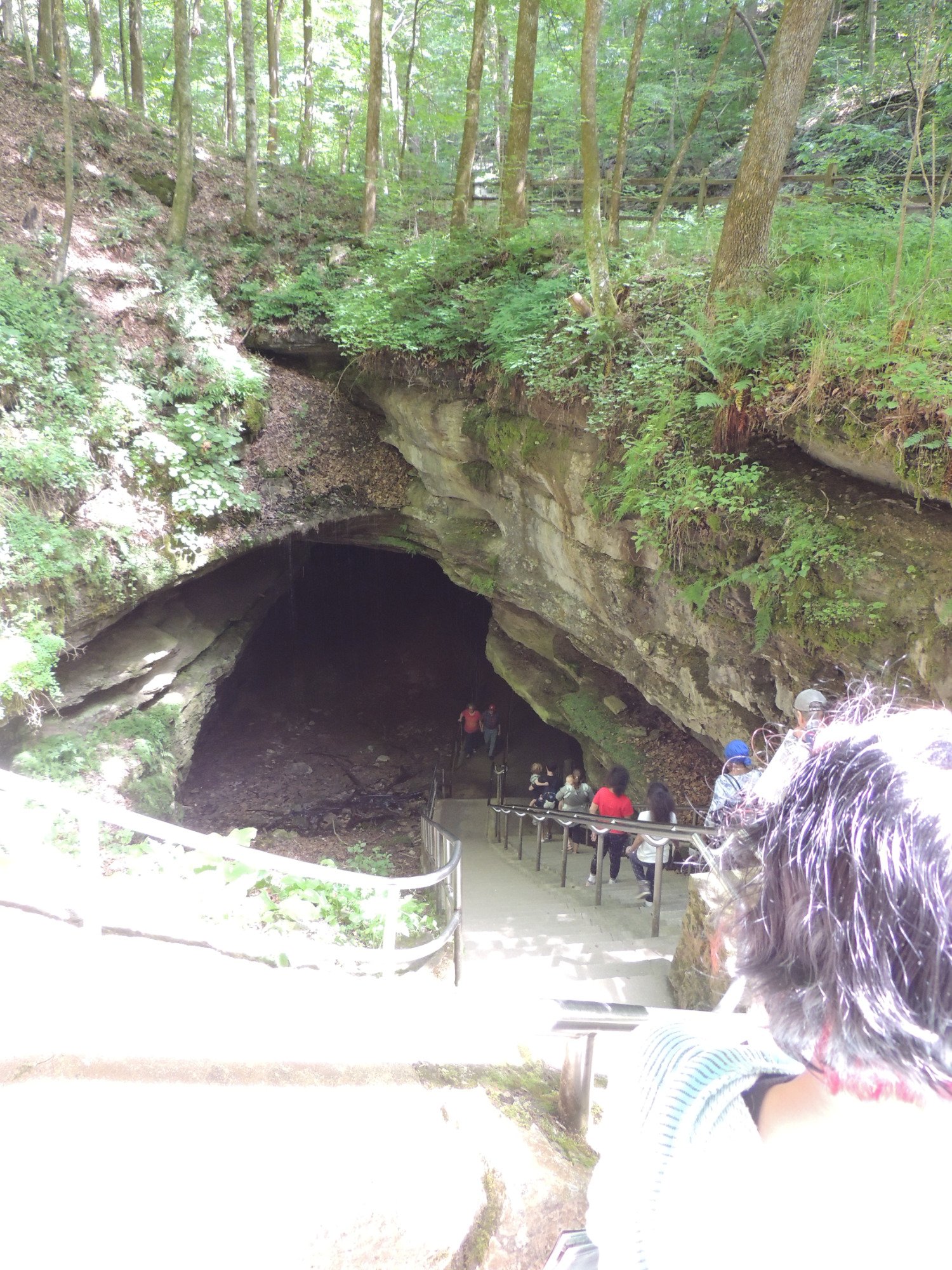 Discovery Tour Mammoth Cave National Park ATUALIZADO 2022 O Que   Stairs Leading Down Into 