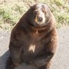 RussellERennie