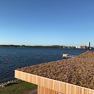 Friluftsbad på Aalborg Strandcamping❤️
Storfavoritt så langt, på bobilferie i Danmark. Vi har fe