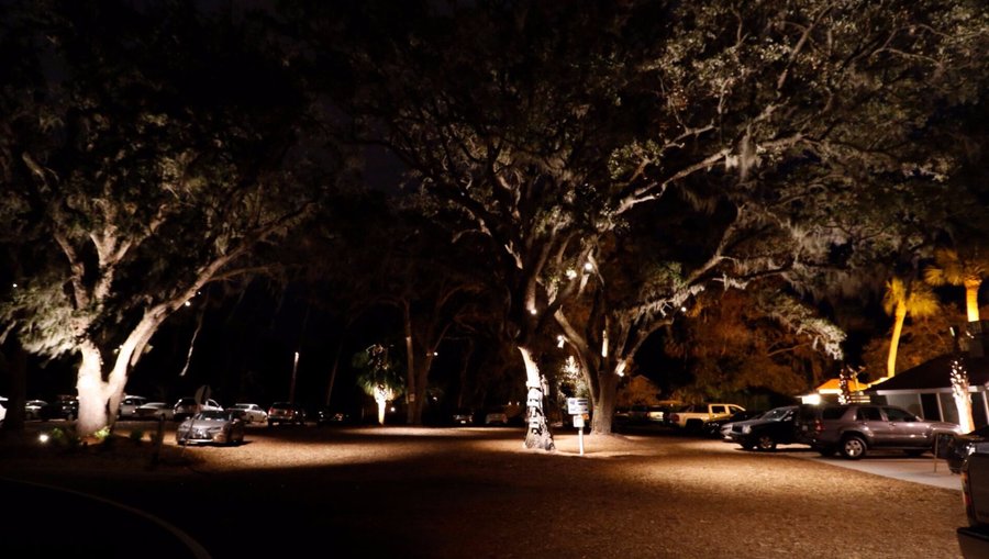 Live Oak Parking Lot