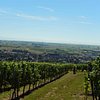 Things To Do in Vins d'Alsace Mosbach, Restaurants in Vins d'Alsace Mosbach
