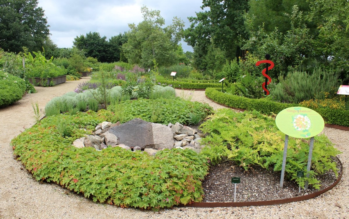 Utrecht University Botanic Gardens All You Need to Know BEFORE You Go