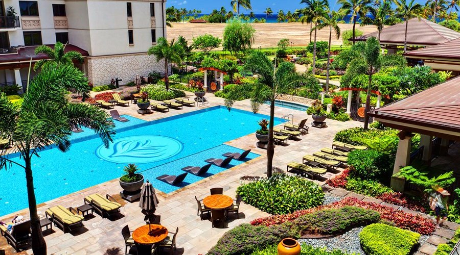 Lap Pool