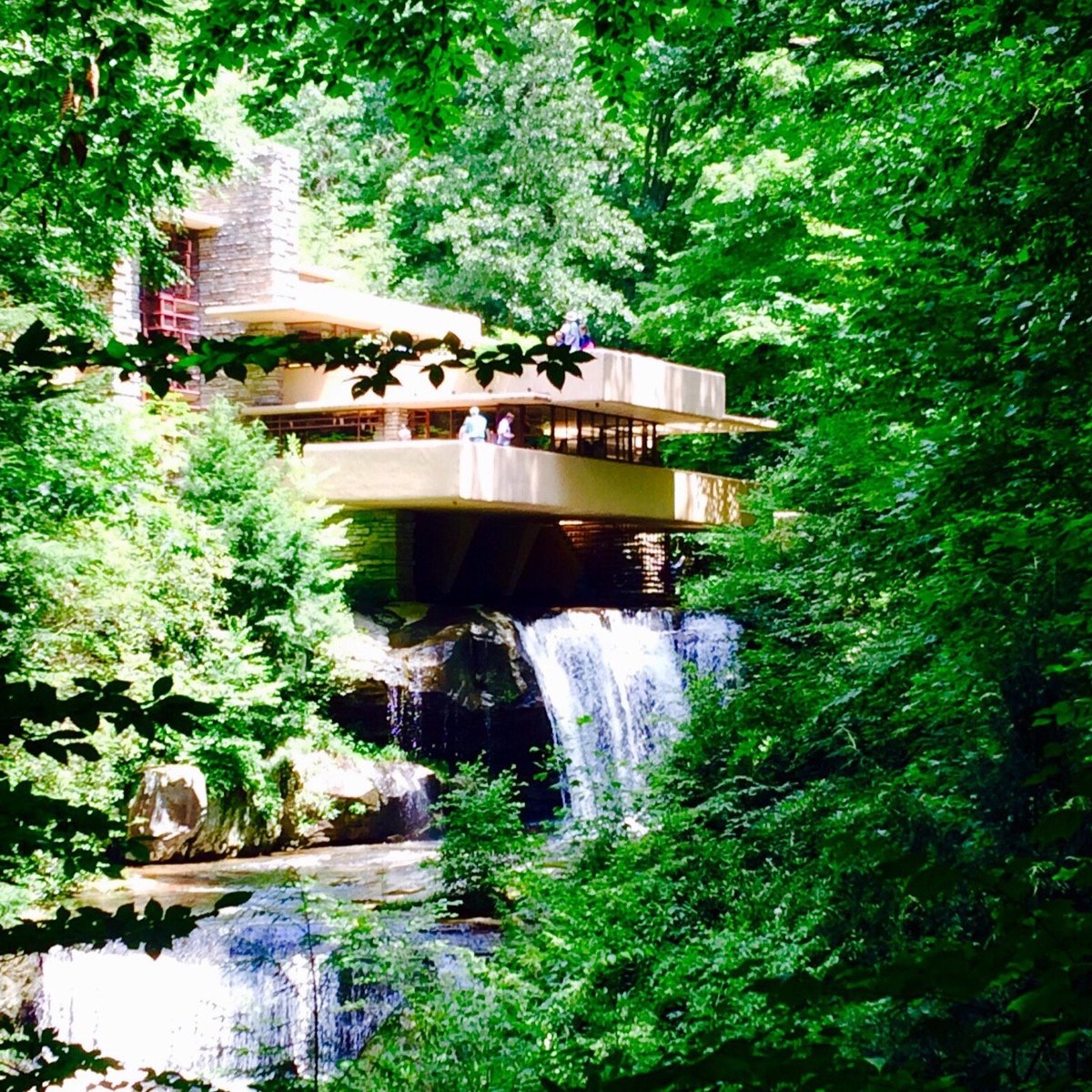 Fallingwater, Милл-Ран: лучшие советы перед посещением - Tripadvisor