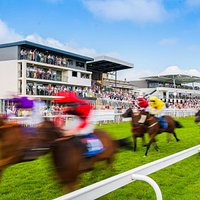 Horseracing at Bath Racecourse