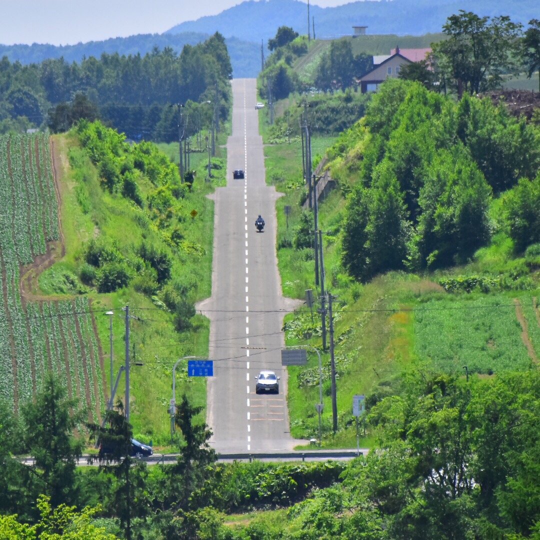 Roller Coaster Road All You Need to Know BEFORE You Go 2024