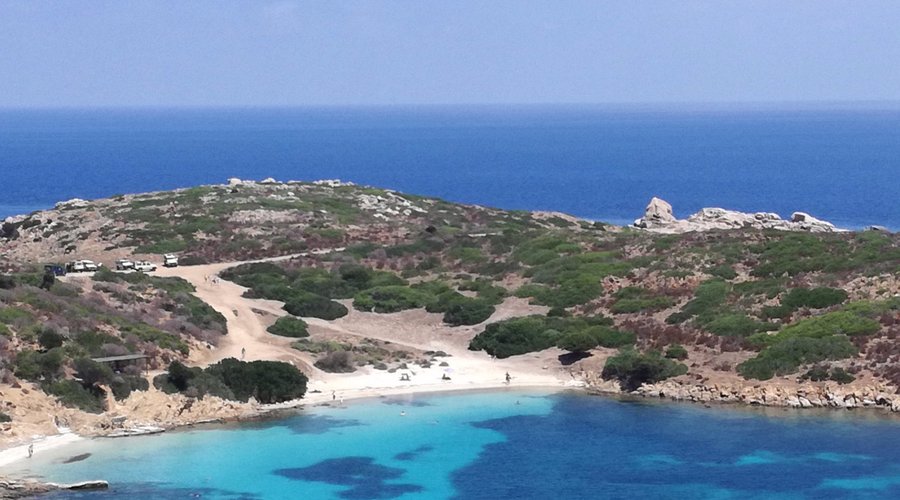 escursione all'Asinara (cala sabina)