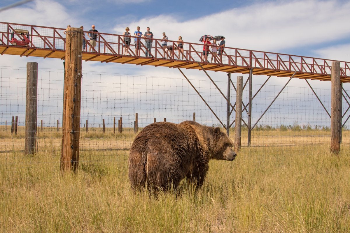 The Wild Animal Sanctuary