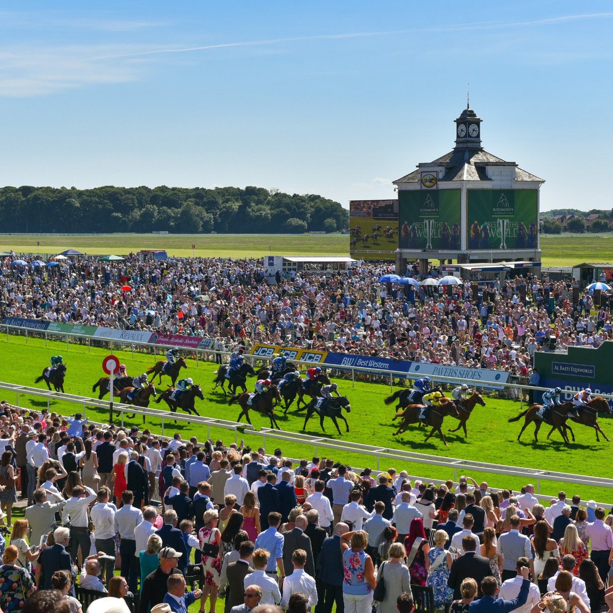 York Racecourse 2023 Alles wat u moet weten VOORDAT je gaat Tripadvisor