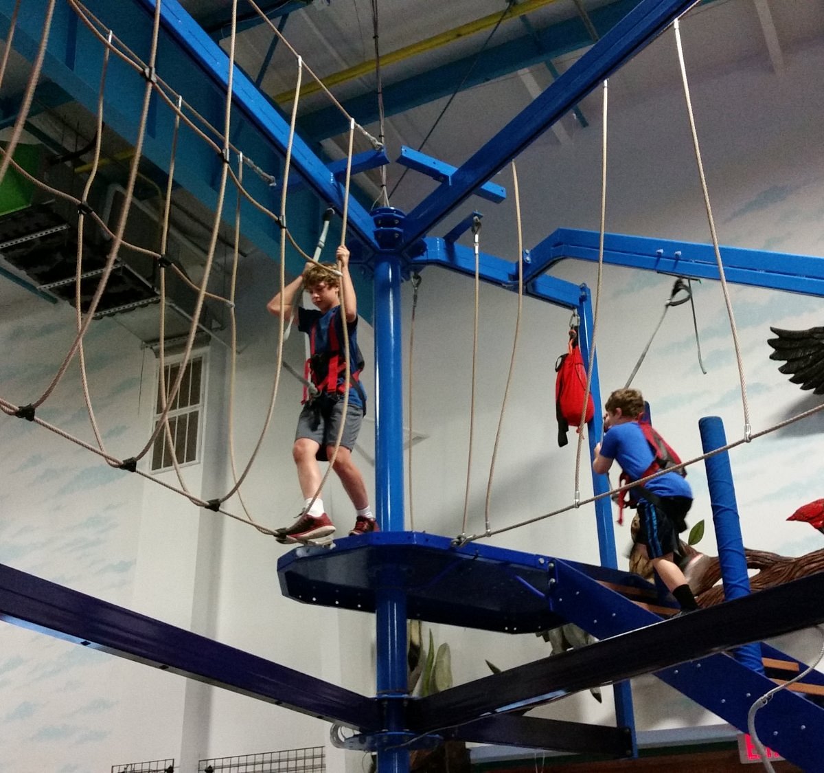 Top 32+ Stock Photos have a hoot fun center photos Superb Top 32+ Stock Photos have a hoot fun center photos Superb