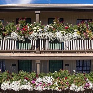 Inn of the Governors in Santa Fe, image may contain: Hotel, Potted Plant, Garden, Resort