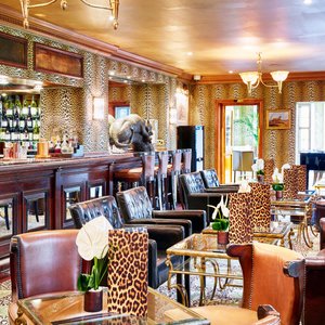 Leopard Bar
