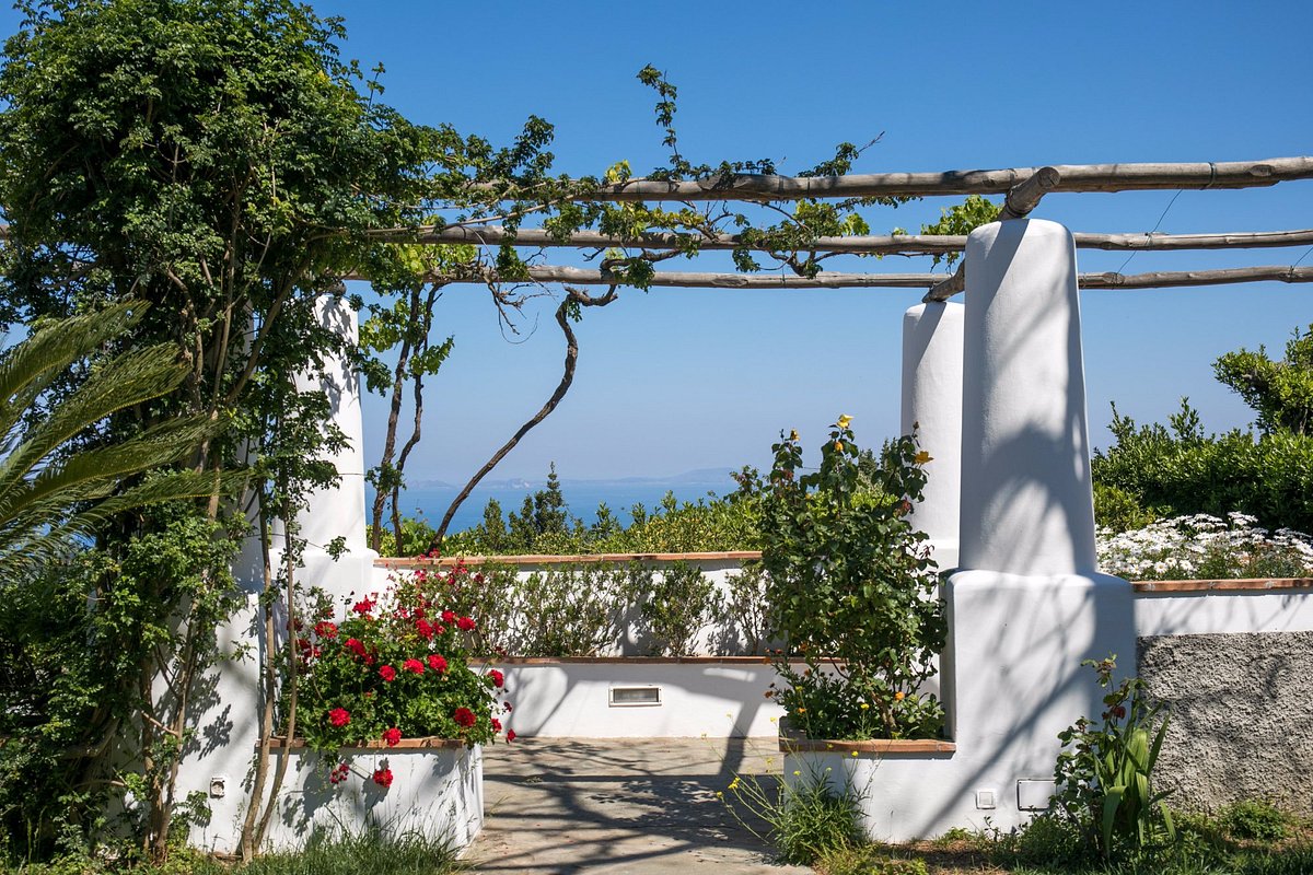HOTEL BELLAVISTA - Prices & Reviews (Island of Capri/Anacapri, Italy)