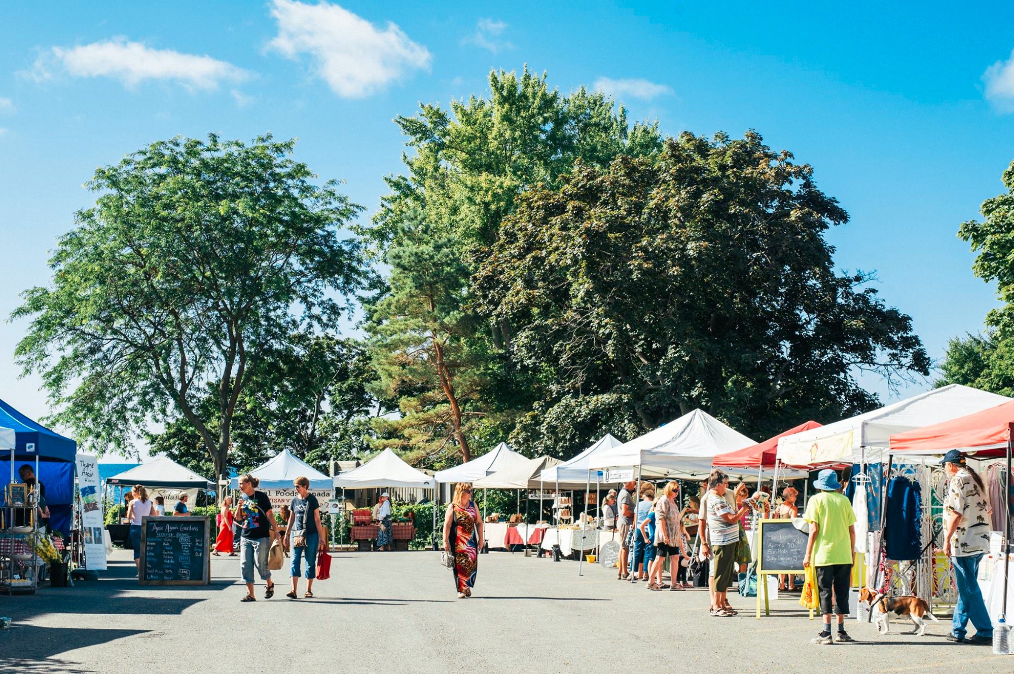 THE 10 BEST Ontario Farmers Markets Updated 2024 Tripadvisor   Open Every Saturday From 