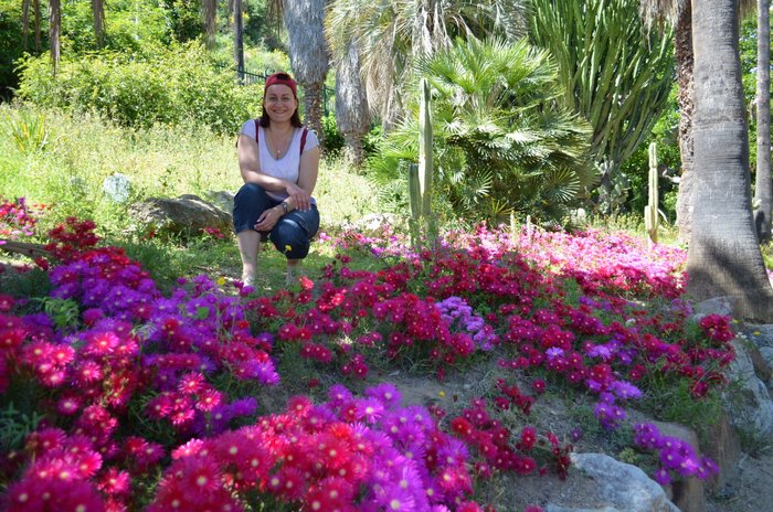 Imagen 7 de Jardins de Mossèn Costa i Llobera