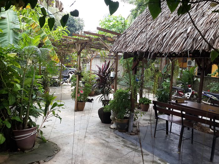 Gecko Guesthouse Langkawi Rooms Pictures And Reviews Tripadvisor