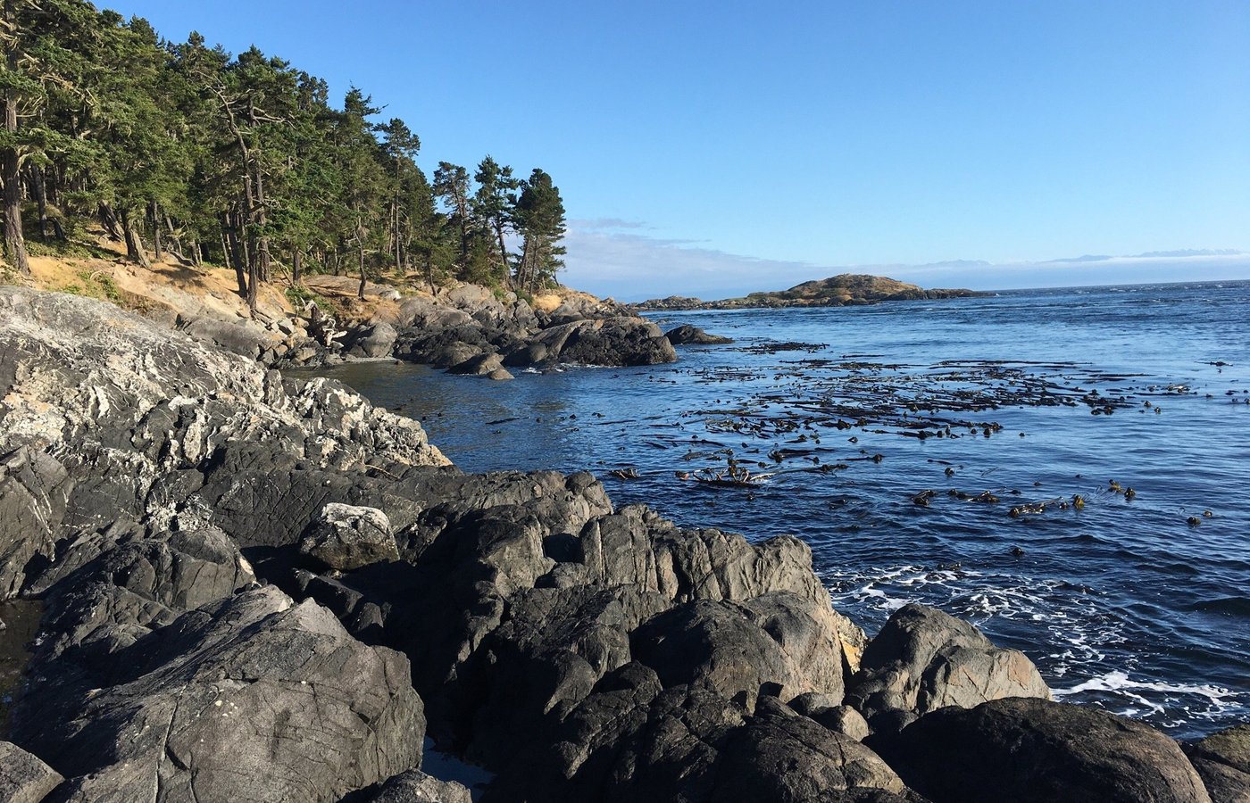 Lopez Island 2023: Best Places to Visit - Tripadvisor