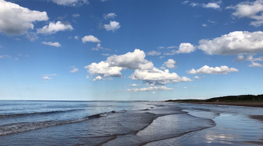 Plage à moins de 10 minutes de marche (marée basse)