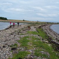 Hjarnø