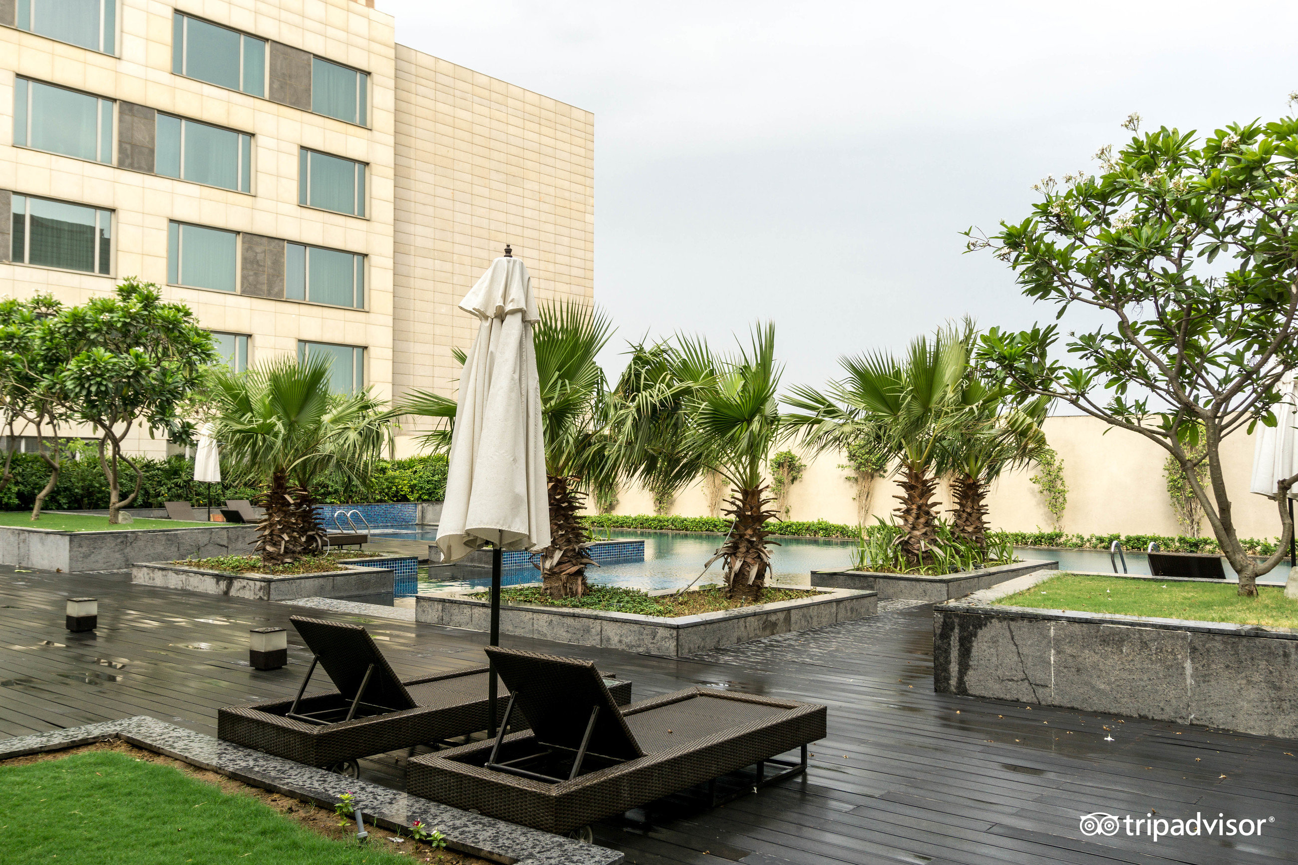 Jw Marriott Hotel New Delhi Aerocity Pool: Pictures & Reviews - Tripadvisor