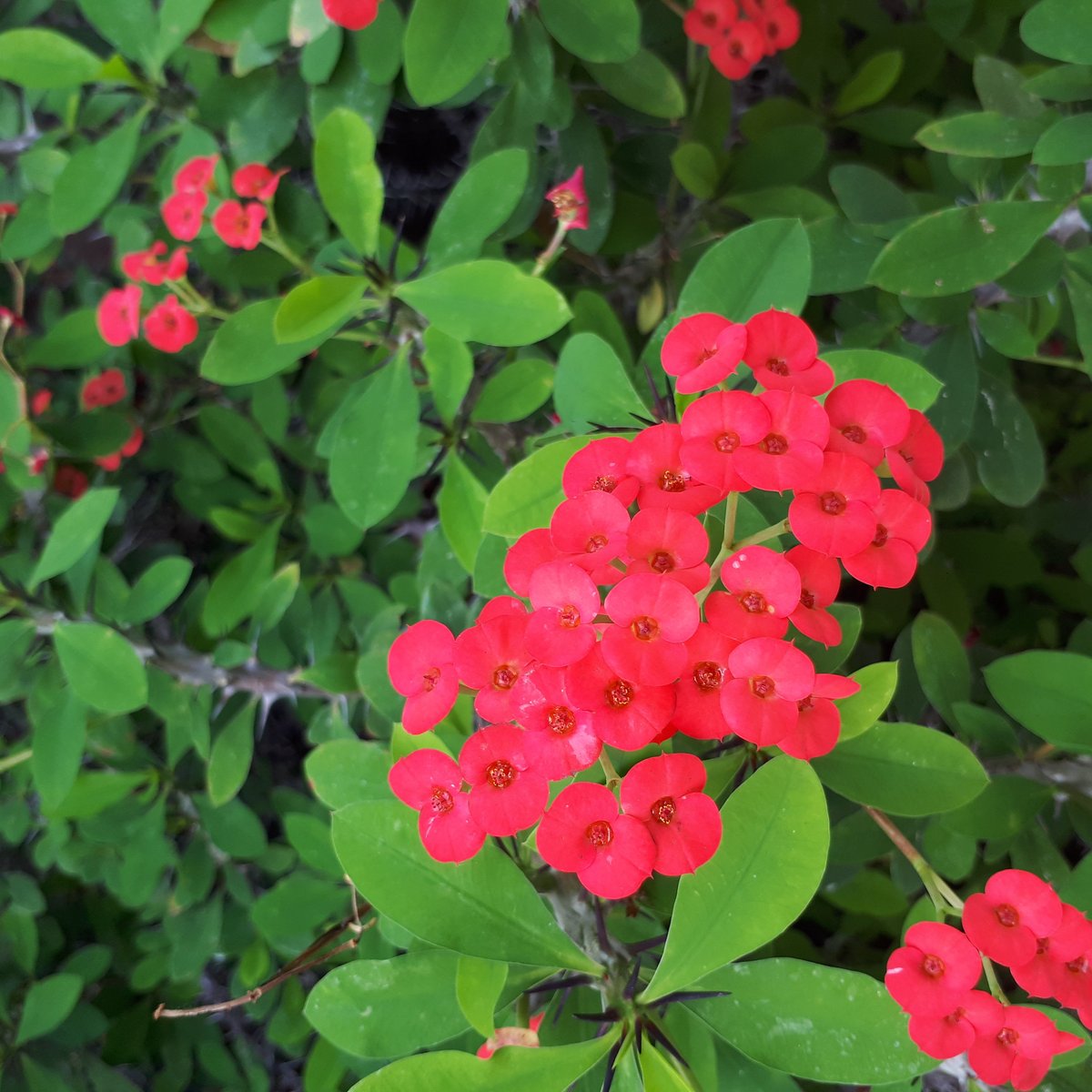 Botanischer Garten Chemnitz All You Need to Know BEFORE You Go