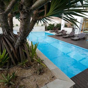 The Pool at the Hotel Mandai