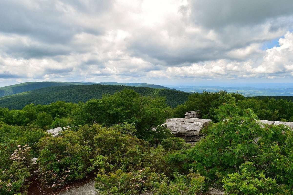 The Channels Natural Area Preserve (Rosedale): All You Need to Know