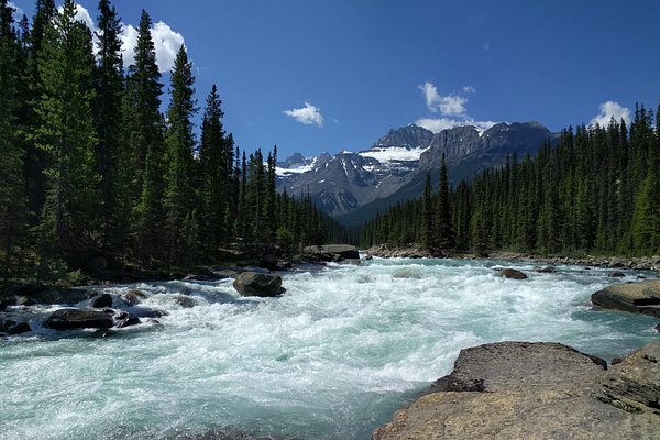 Cline River, Alberta 2023: Best Places to Visit - Tripadvisor