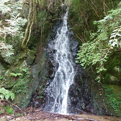 21年 鏡野町で絶対外さないおすすめ観光スポットトップ10 定番から穴場まで トリップアドバイザー 21年 鏡野町で絶対外さないおすすめ観光スポットトップ10 定番から穴場まで トリップアドバイザー