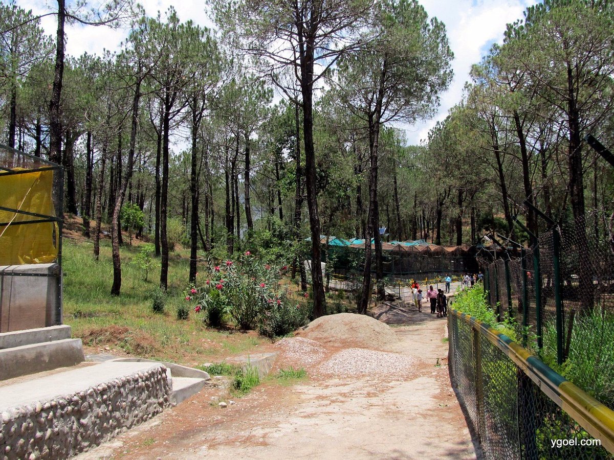Gopalpur Zoo - All You Need to Know BEFORE You Go (with Photos)