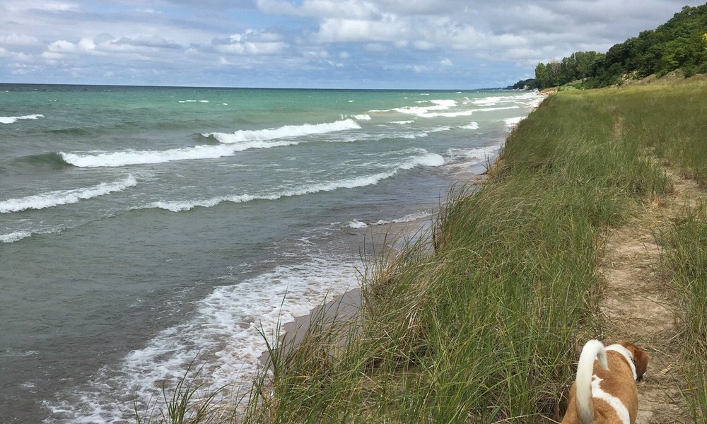 Stevensville 2021: Best of Stevensville, MI Tourism - Tripadvisor