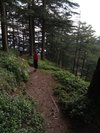anuradha2028