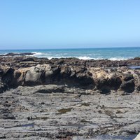 Bean Hollow State Beach (Pescadero) - All You Need to Know BEFORE You Go