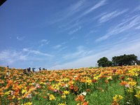 21年 箱館山スキー場 行く前に 見どころをチェック トリップアドバイザー