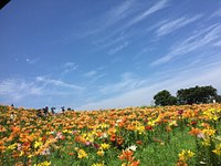21年 箱館山スキー場 行く前に 見どころをチェック トリップアドバイザー 21年 箱館山スキー場 行く前に 見どころをチェック トリップアドバイザー