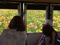 21年 箱館山スキー場 行く前に 見どころをチェック トリップアドバイザー 21年 箱館山スキー場 行く前に 見どころをチェック トリップアドバイザー