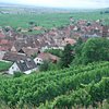 Things To Do in Domaine Bernard Humbrecht, Restaurants in Domaine Bernard Humbrecht