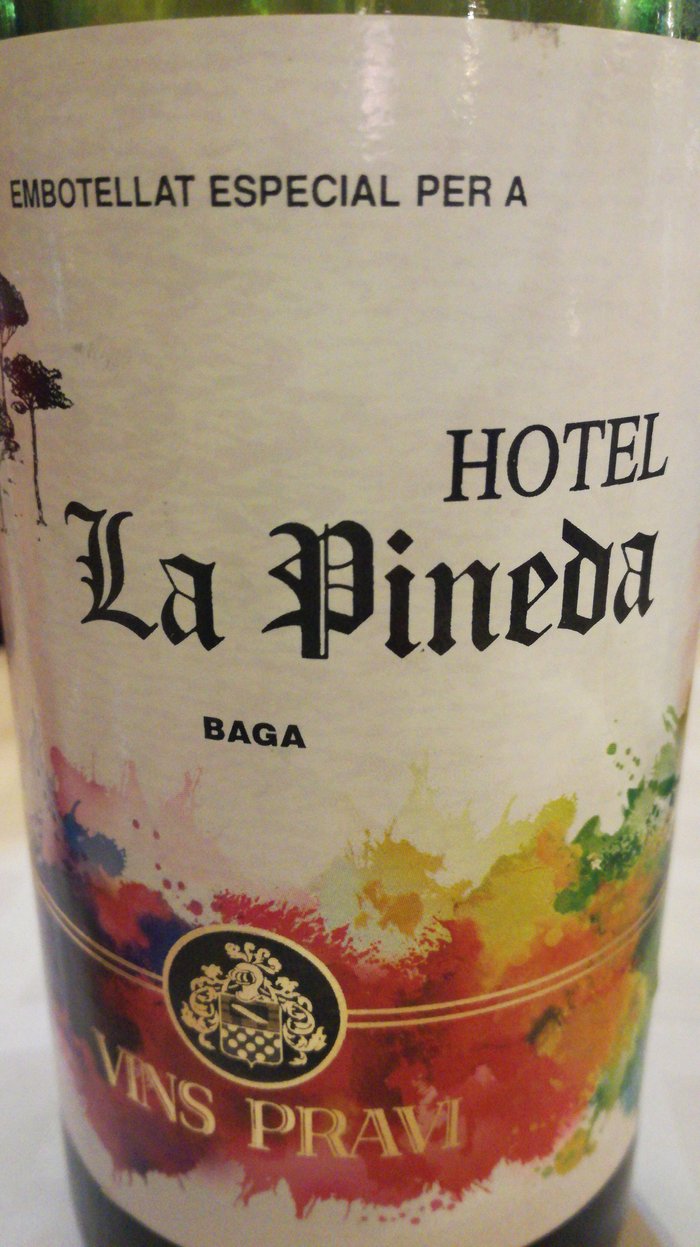 Imagen 1 de Hotel la Pineda