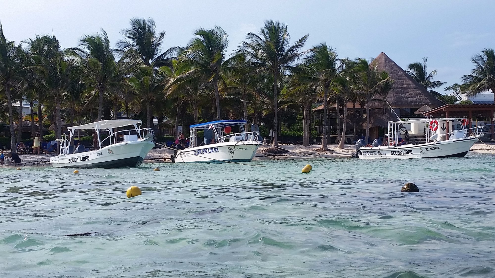 scuba libre playa del carmen