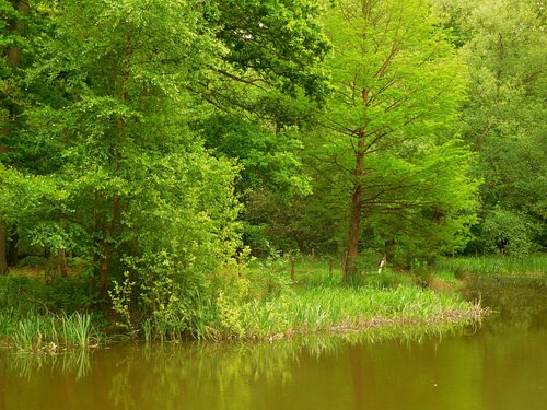 Les 12 meilleurs parcs animaliers - OnVaSortir! Rouen