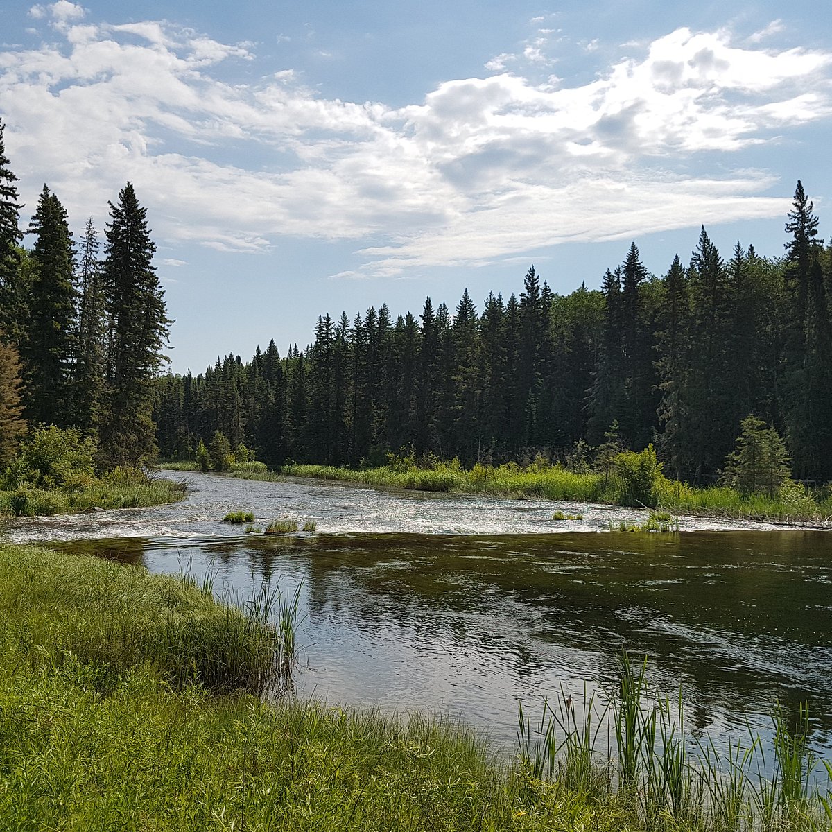 Prince Albert National Park - All You Need to Know BEFORE You Go (2024)