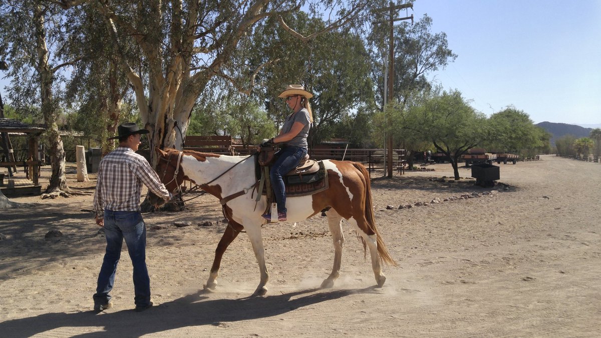 WHITE STALLION RANCH (Тусон) - отзывы, фото и сравнение цен - Tripadvisor