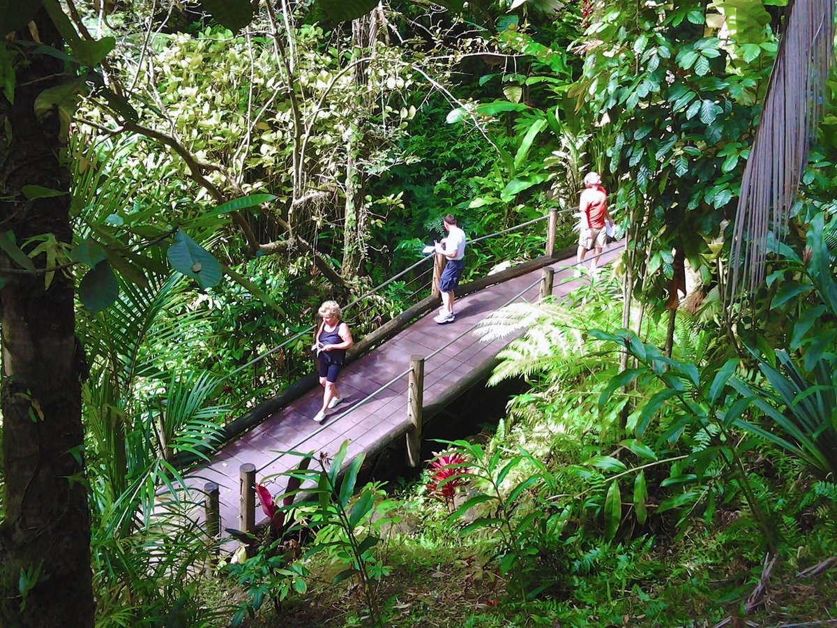 are dogs allowed at hawaii tropical botanical garden