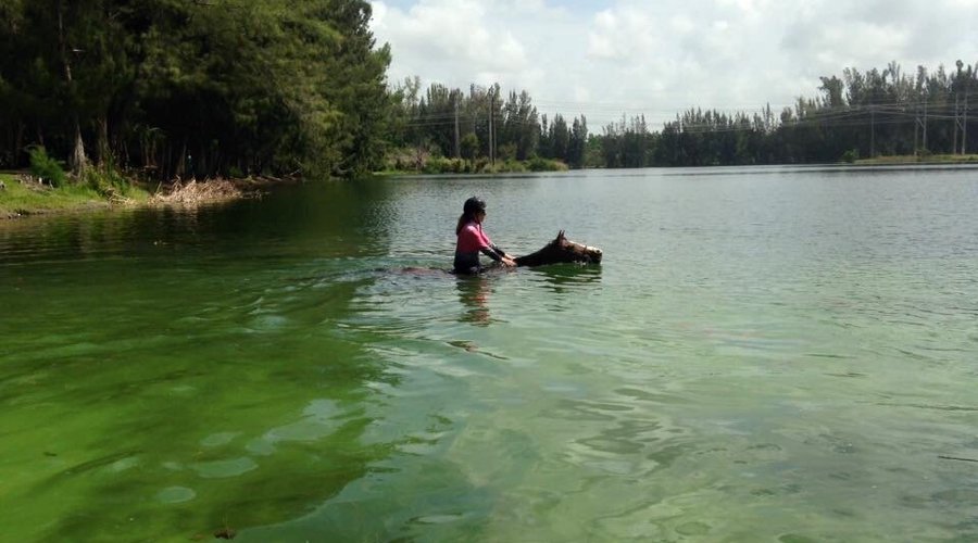 Wolf Lake Park Activities