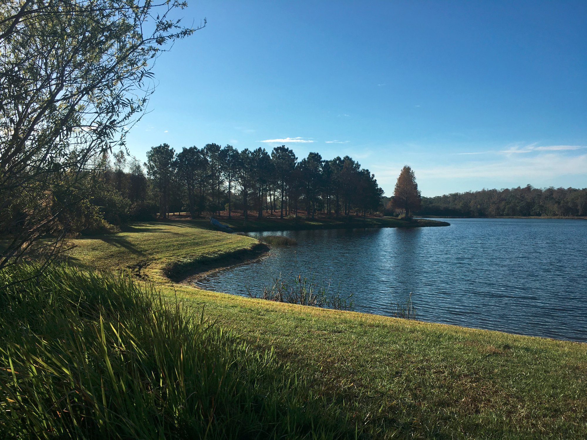 Hotel photo 19 of The Ritz-Carlton Orlando, Grande Lakes.