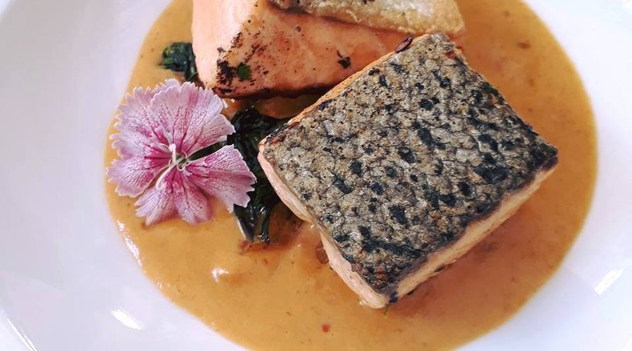 Salmon La Vista 
